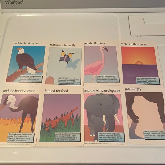 Museum of modern Art the endangered wildlife Flashcards - Picture 3 of 16